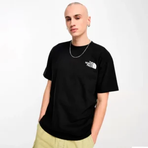 Camiseta the north face